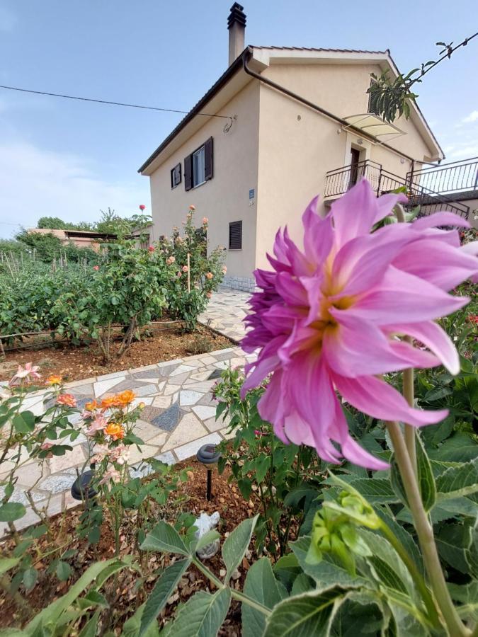 Apartments Rusin Linardići المظهر الخارجي الصورة
